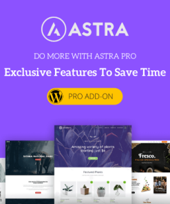 Astra Pro Addon